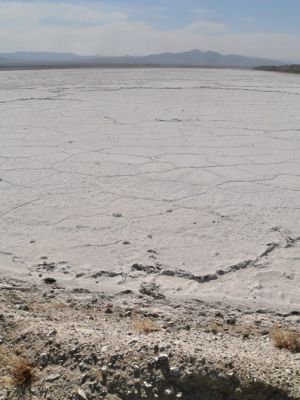 az46.jpg