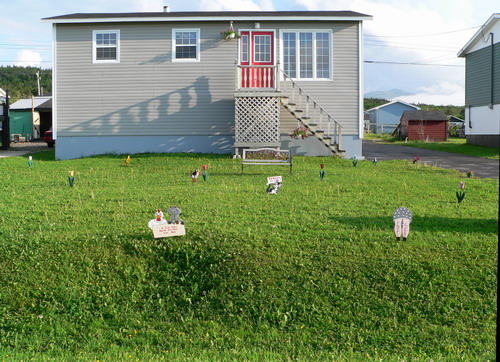 rockyharbour2.jpg