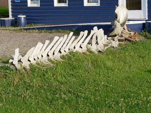 rockyharbour3.jpg