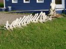 rockyharbour3.jpg