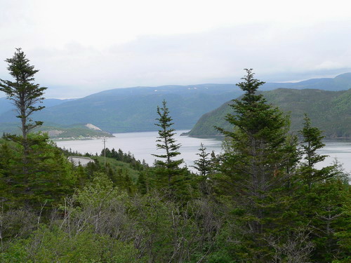 troutriver2.jpg