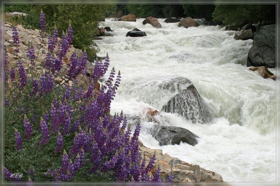 comp_Kings_Canyon_NP_(11).jpg