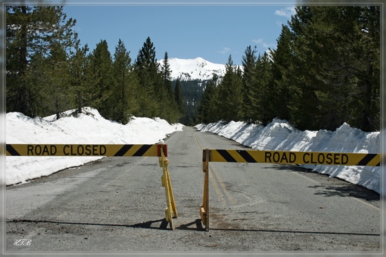 Devastated Area / Lassen Volcanic NP
