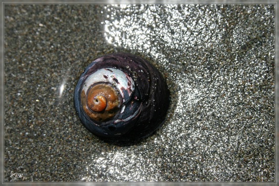 Whaleshead Beach, Samuel Boardman SP, OR
