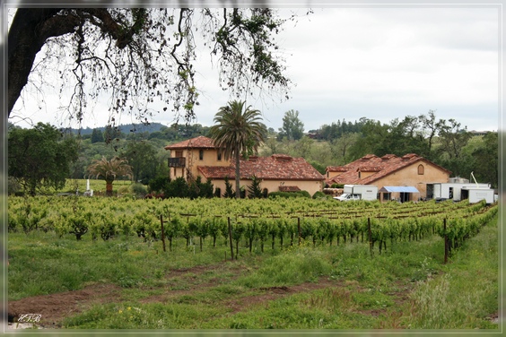 Wine Oak Winery, Alexander Valley Road, CA
