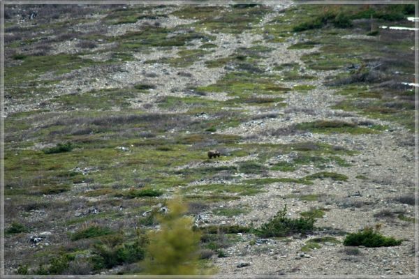 comp_315_Glacier_East_St__Mary_Lake__(12).jpg