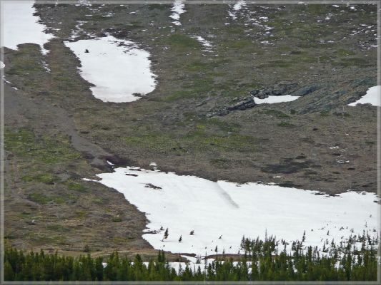 comp_322_Glacier_East_-_Many_Glacier_(1).jpg