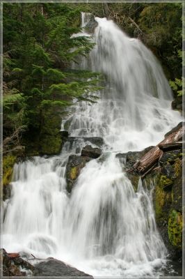 comp_373_Ranier_NP_Falls_Creek_(6).jpg