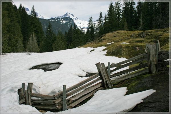 comp_380_Rainier_NP_Box_Canyon_(2).jpg