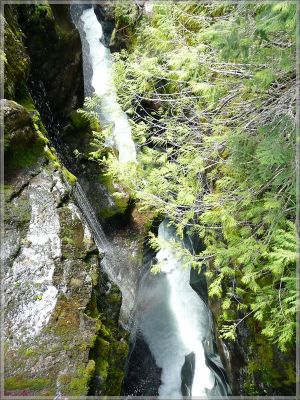 comp_381_Rainier_NP_Box_Canyon_(5).jpg