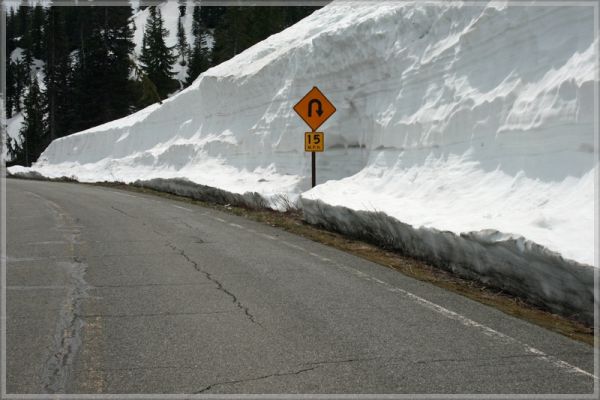 comp_385_Rainier_NP_(6).jpg