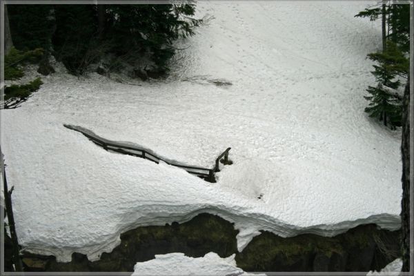 comp_389_Rainier_NP_Narada_Falls_(1).jpg