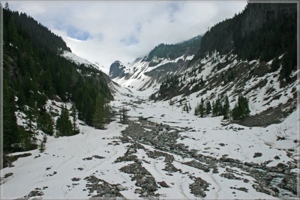 comp_390_Rainier_NP_Niqually_Glacier_(1).jpg