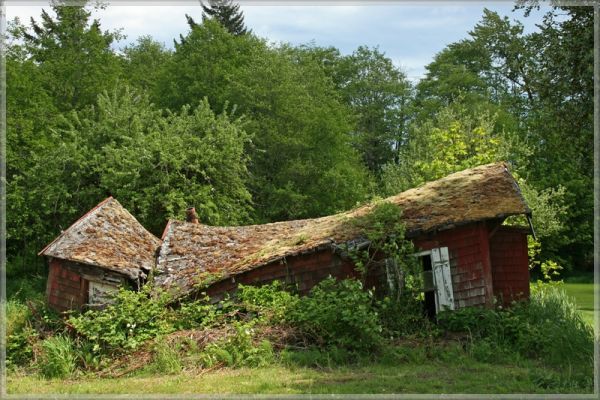 comp_392_Morten_(4).jpg