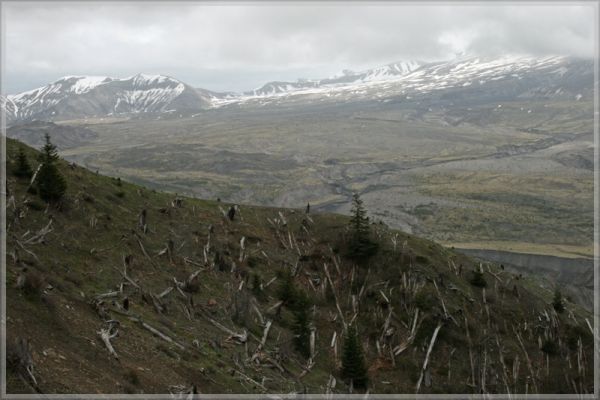 comp_406_Mount_St__Helens_(79).jpg