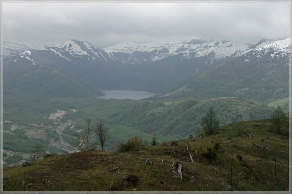 comp_417_Mount_St__Helens_Clear_LakeJPG_(1).jpg