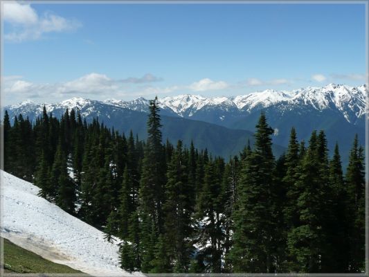 comp_434_Olympic_NP_Hurricane_Ridge_(19).jpg