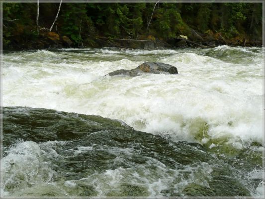comp_52_Mushbowl___Dawson_Fall_(4).jpg