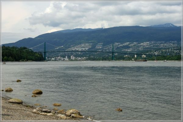 comp_553_Vancouver_Tag_3_(21).jpg
