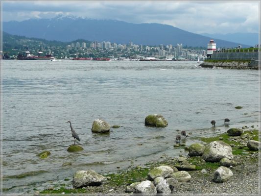 comp_554_Vancouver_Tag_3_(24).jpg