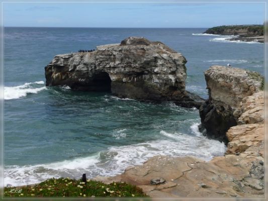 Natural Bridges SB
