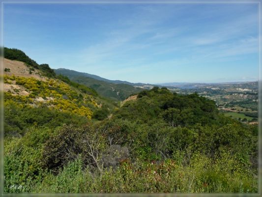 Santa Ynez Valley, CA
