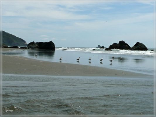 Whaleshead Beach, Samuel Boardman SP, OR
