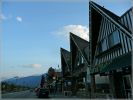 comp_103_Jasper_(10).jpg