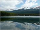 comp_109_Maligne_Lake_Moose_Lake_Trail_(1).jpg