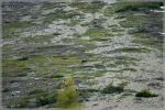 comp_315_Glacier_East_St__Mary_Lake__(12).jpg