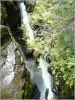 comp_381_Rainier_NP_Box_Canyon_(5).jpg