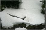 comp_389_Rainier_NP_Narada_Falls_(1).jpg