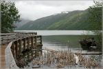 comp_413_Mount_St__Helens_Coldwater_Lake_(9).jpg