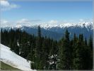 comp_434_Olympic_NP_Hurricane_Ridge_(19).jpg