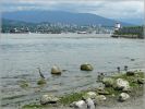 comp_554_Vancouver_Tag_3_(24).jpg