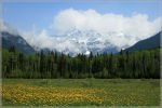 comp_68_Mt__Robson_(25).jpg