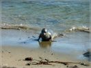 San Simeon