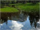 comp_Mirror_Lake_im_Yosemite_(64).jpg