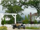 comp_Napa_Valley_am_Morgen_(9).jpg