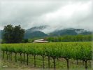 Napa Valley, CA