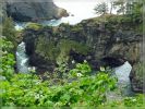 Natural Bridges, Samuel Boardman SP, OR