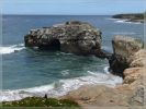 comp_Natural_Bridges_-_Santa_Cruz_(13).jpg