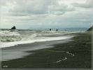 comp_Redwood_Natinal___State_Parks_(31).jpg