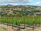 Silverado Trail / Napa Valley, CA 