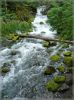 Watson Falls, OR