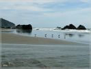 Whaleshead Beach, Samuel Boardman SP, OR