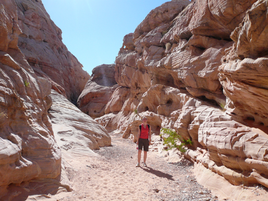 Valley of fire
