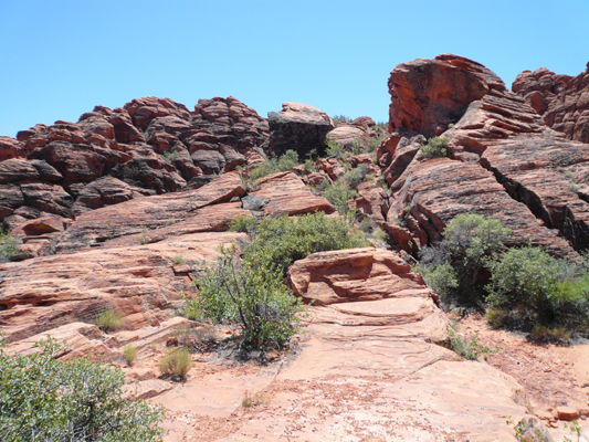 Snow Canyon SP
