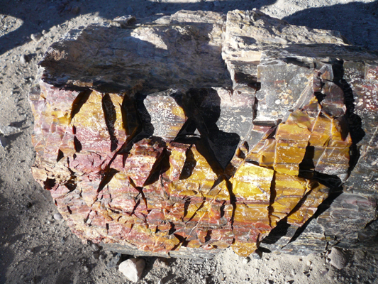 Escalante SP
