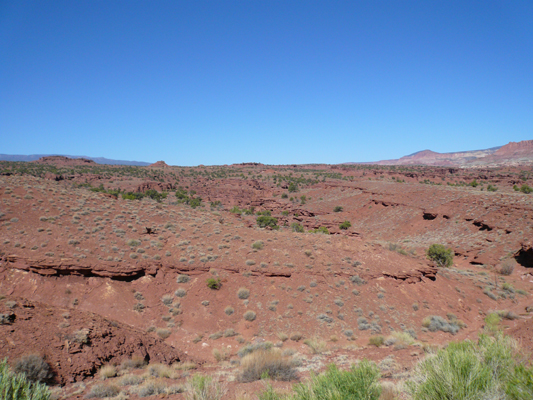 Capitol Reef NP
